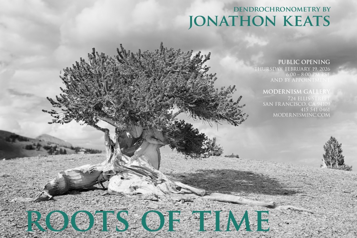 ROOTS_OF_TIME--Environmental_Cadences_by_Jonathon_Keats