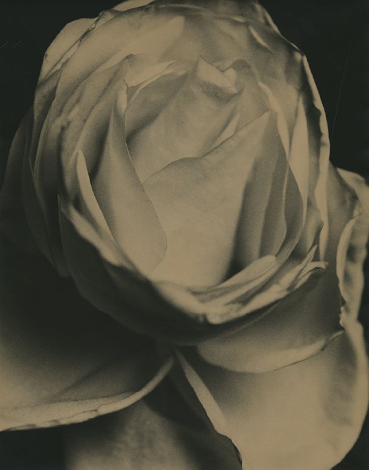 Exhibitions : Robert STIVERS : Photographs